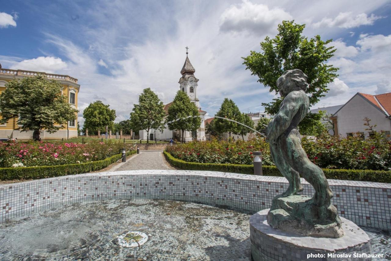 Vila Rosa Vukovar Bed and Breakfast Zewnętrze zdjęcie