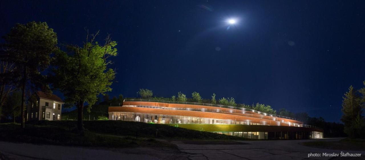 Vila Rosa Vukovar Bed and Breakfast Zewnętrze zdjęcie