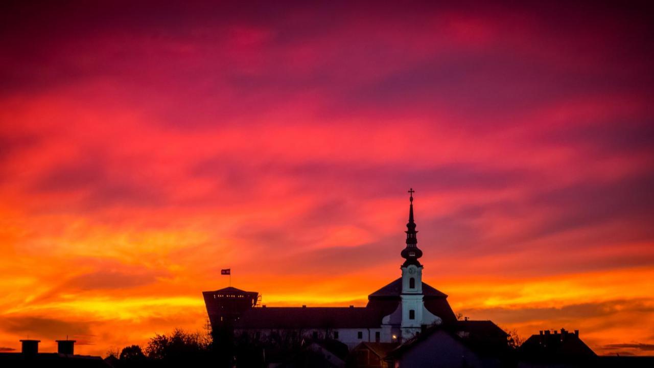 Vila Rosa Vukovar Bed and Breakfast Zewnętrze zdjęcie