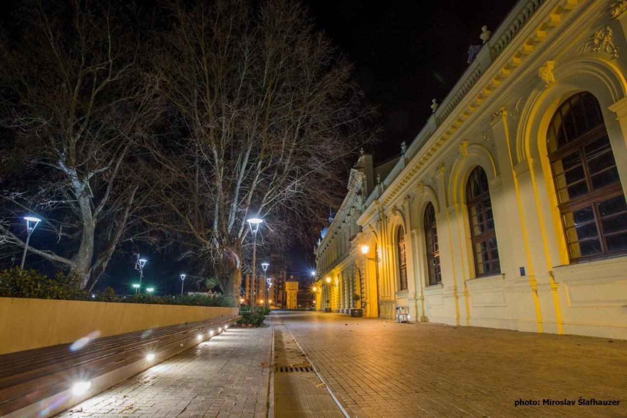 Vila Rosa Vukovar Bed and Breakfast Zewnętrze zdjęcie